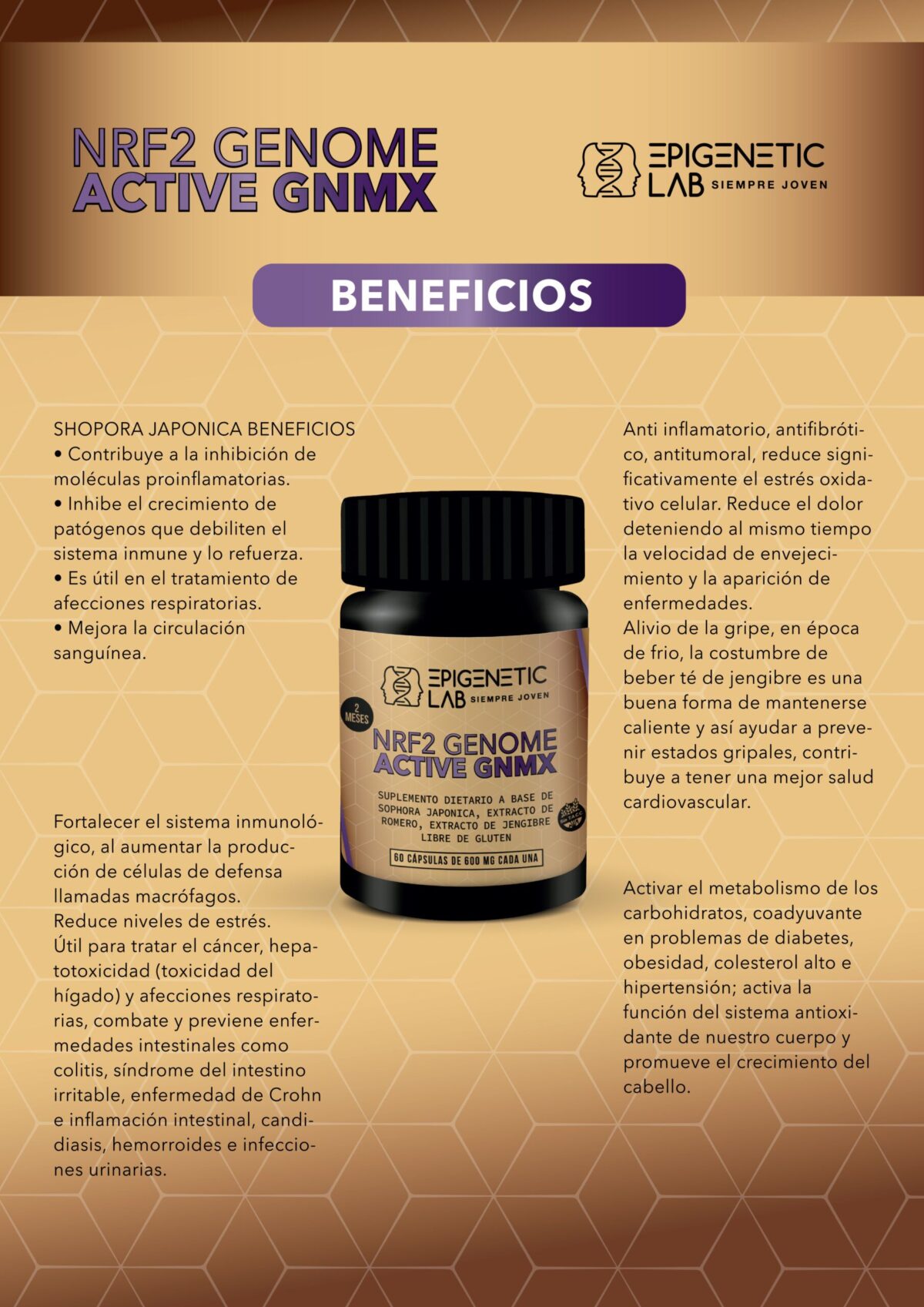 NRF2 GENOME ACTIVE ADN X 60 CAPSULAS DE 600 MG SIN TACC - Image 5