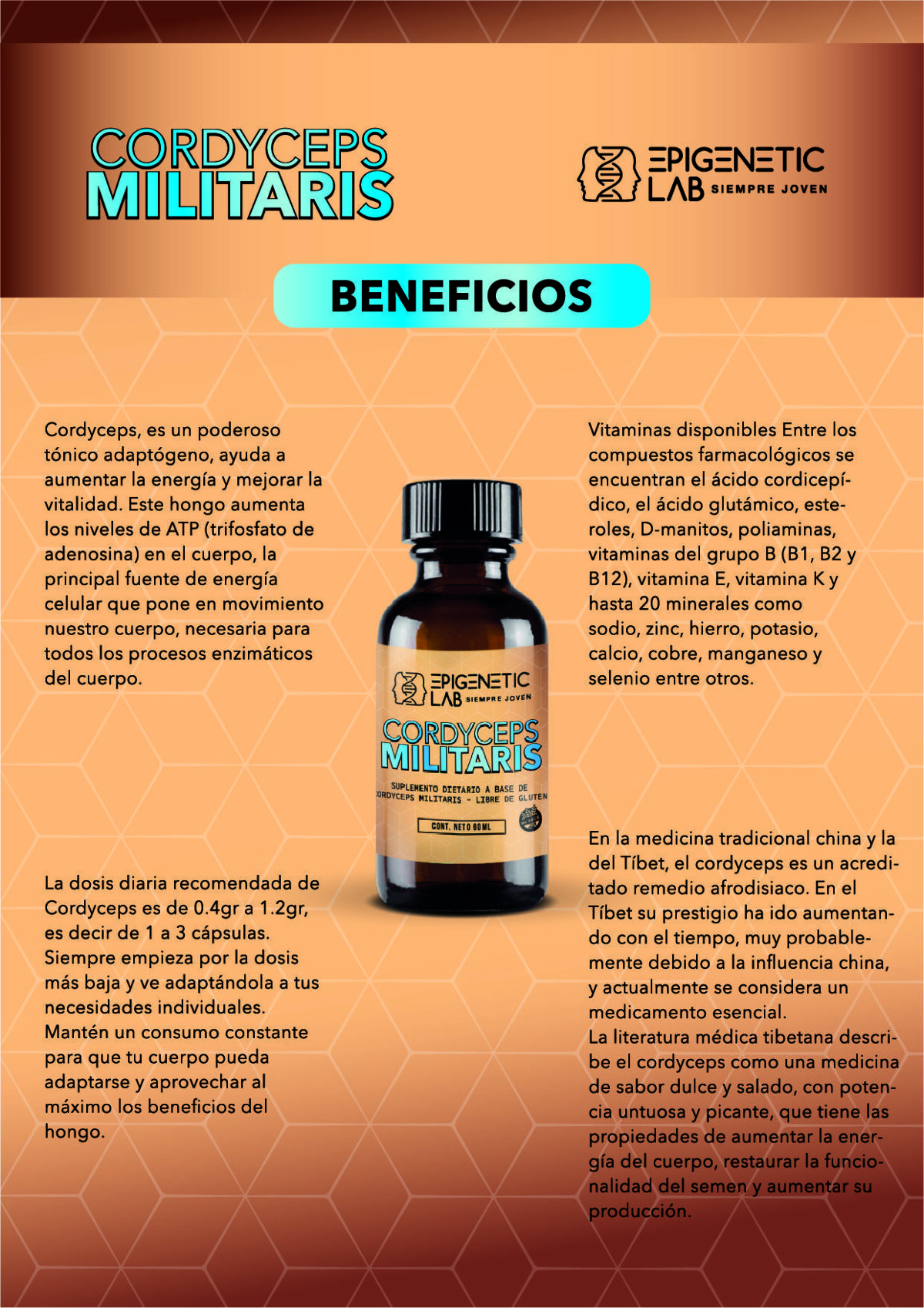 CORDYCEPS MILITARIS - Image 3
