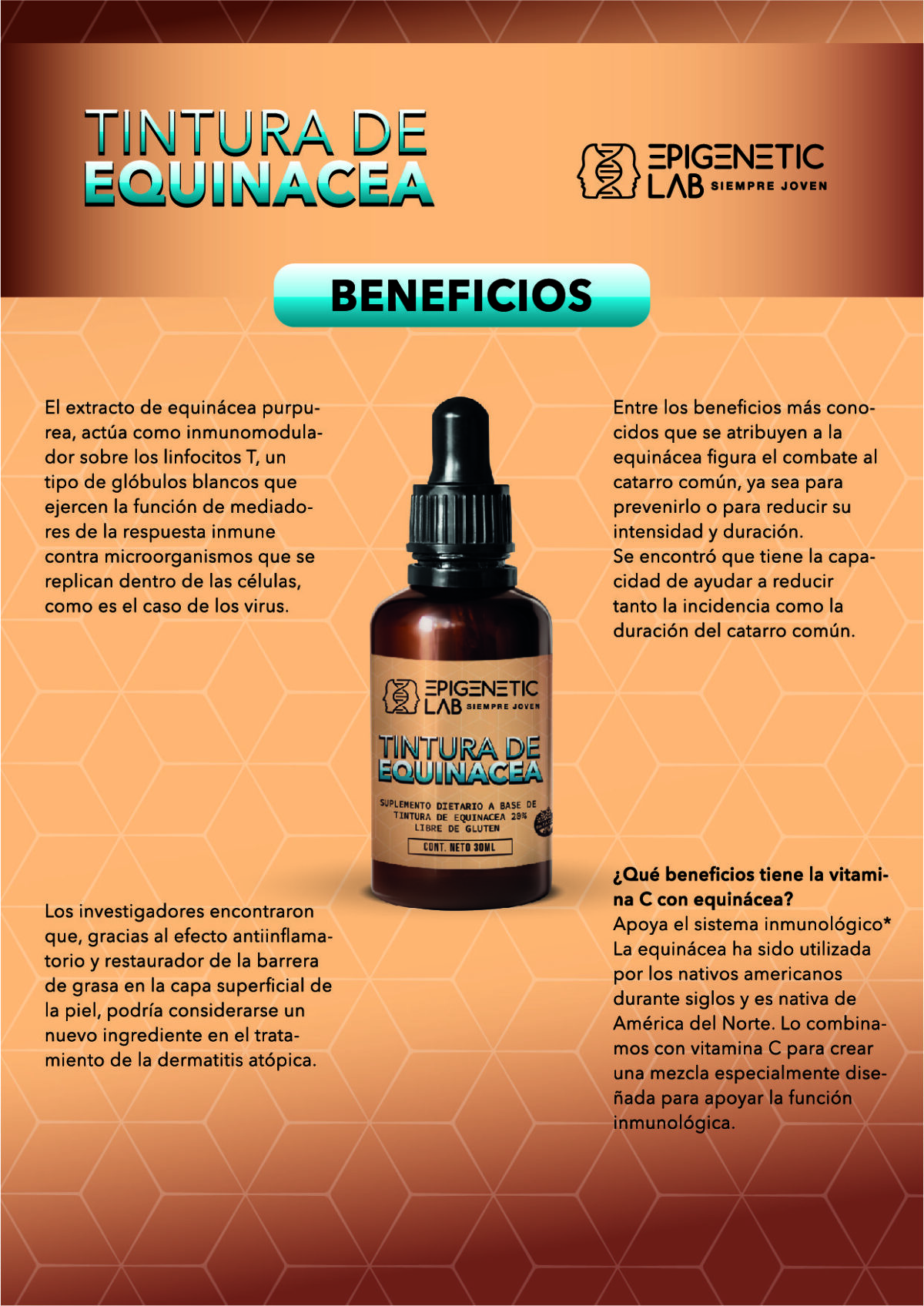 EXTRACTO DE EQUINACEA - Image 2